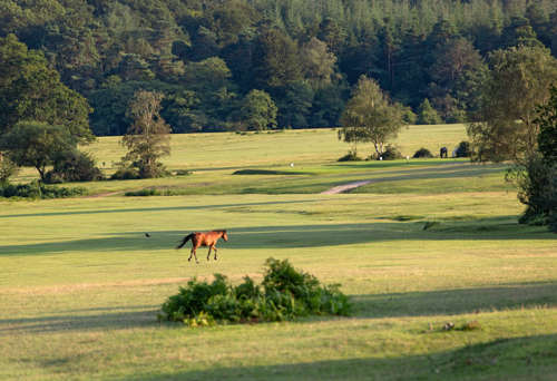 ds6a7913-edited.jpg